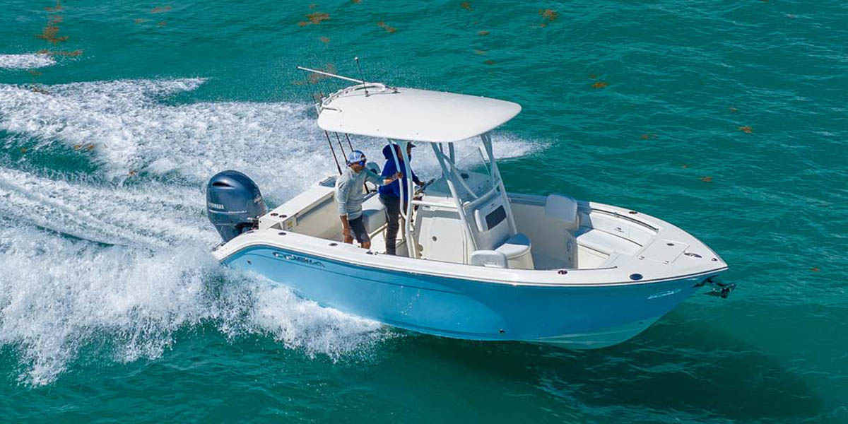 Cobia Boats: An Insight on Performance and Accessibility