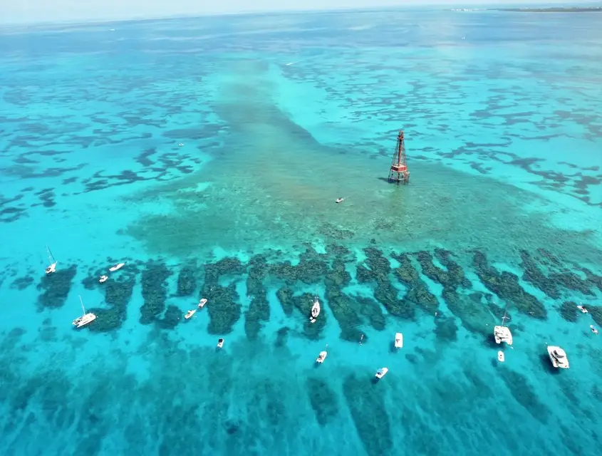 Sombrero Reef: A Guide to Florida's Underwater Treasure