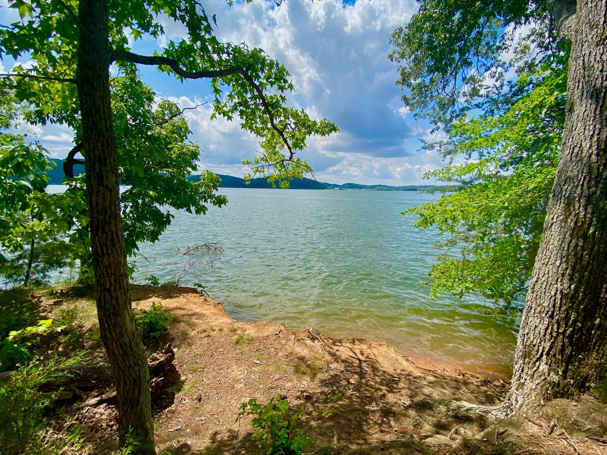 Harrison Bay State Park: Exploring Tennessee's Scenic Retreat